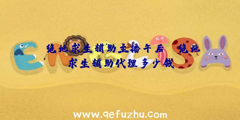 「绝地求生辅助主播午后」|绝地求生辅助代理多少钱